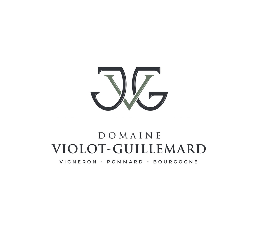JOANNES VIOLOT-GUILLEMARD
