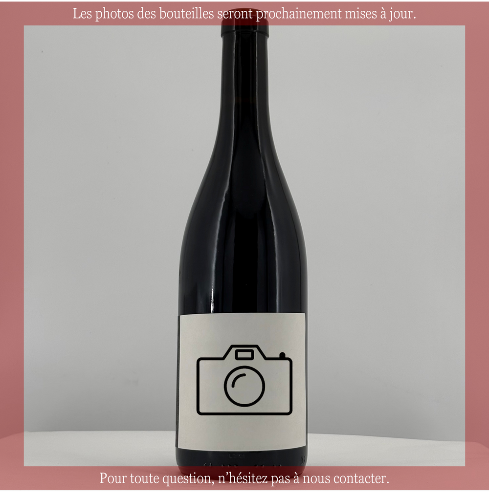 Vosne Romanée 2023