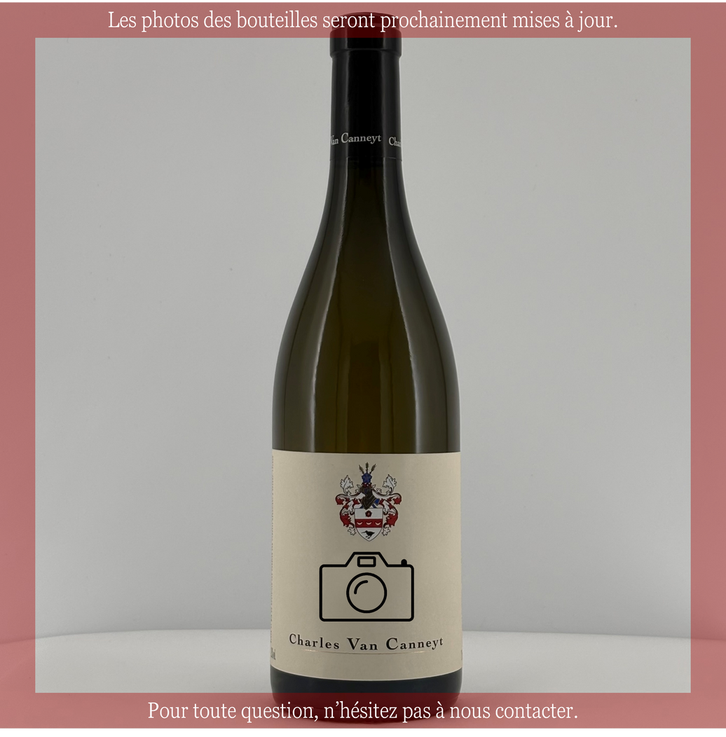 Nuits Saint Georges  2022