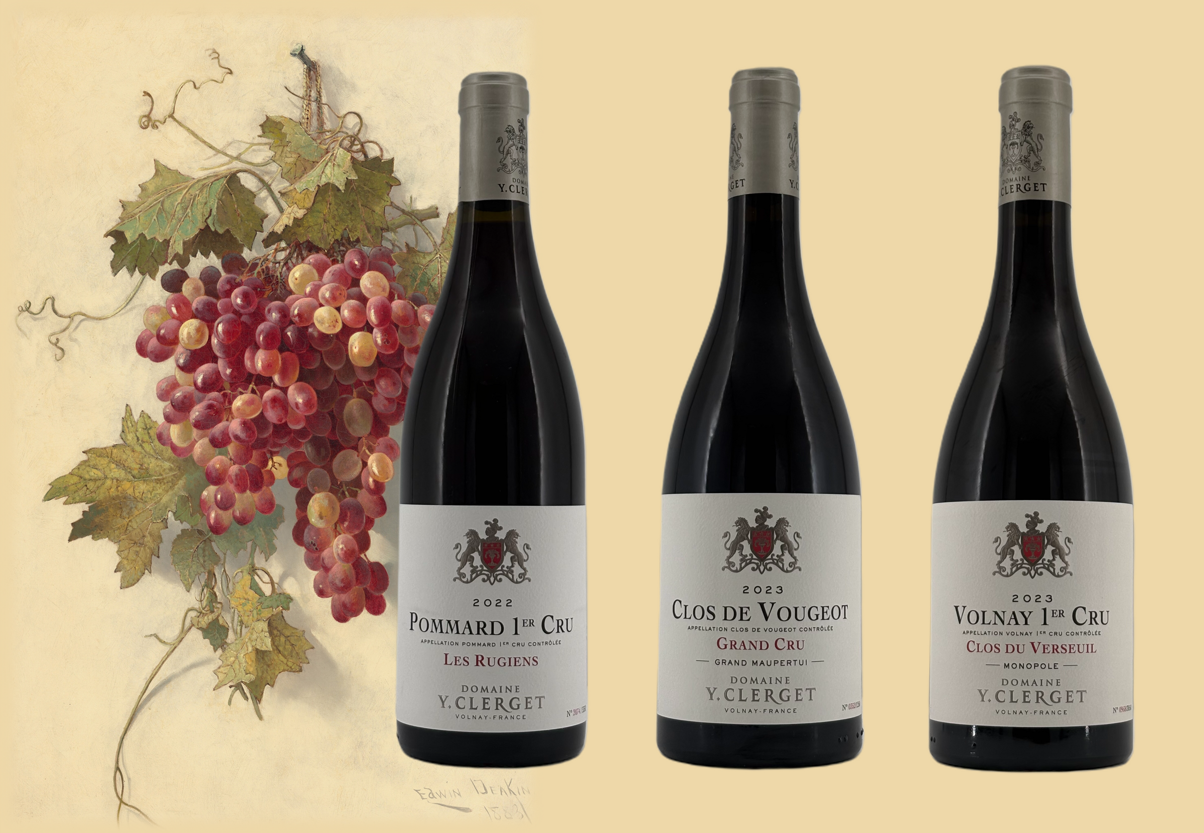 DOMAINE Y.CLERGET